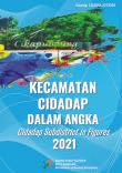 Cidadap Subdistrict in Figures 2021