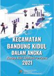 Bandung Kidul Subdistrict In Figures 2021