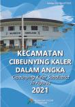 Cibeunying Kaler Subdistrict in Figures 2021