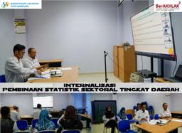 Internalization of Regional Level Sectoral Statistics Development