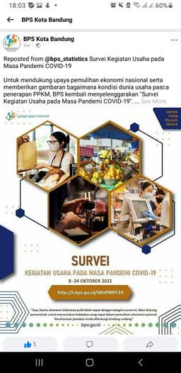 Survei Kegiatan Usaha pada Masa Pandemi COVID-19