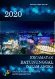 Batununggal Subdistrict In Figures 2020