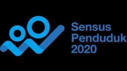 Sensus Penduduk 2020, Sensus Era Digital   